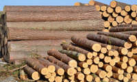 Industria del legno